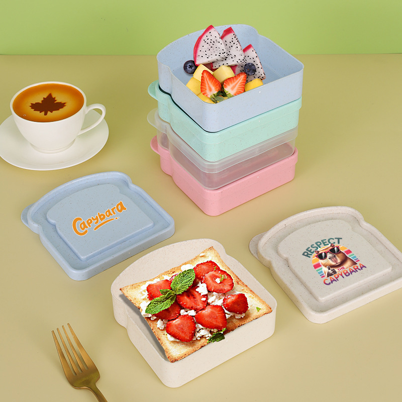 카피바라 샌드위치 음식 보관 케이스 컨테이너 샐러드 과 - Microwave Oven 리뷰 및 가격