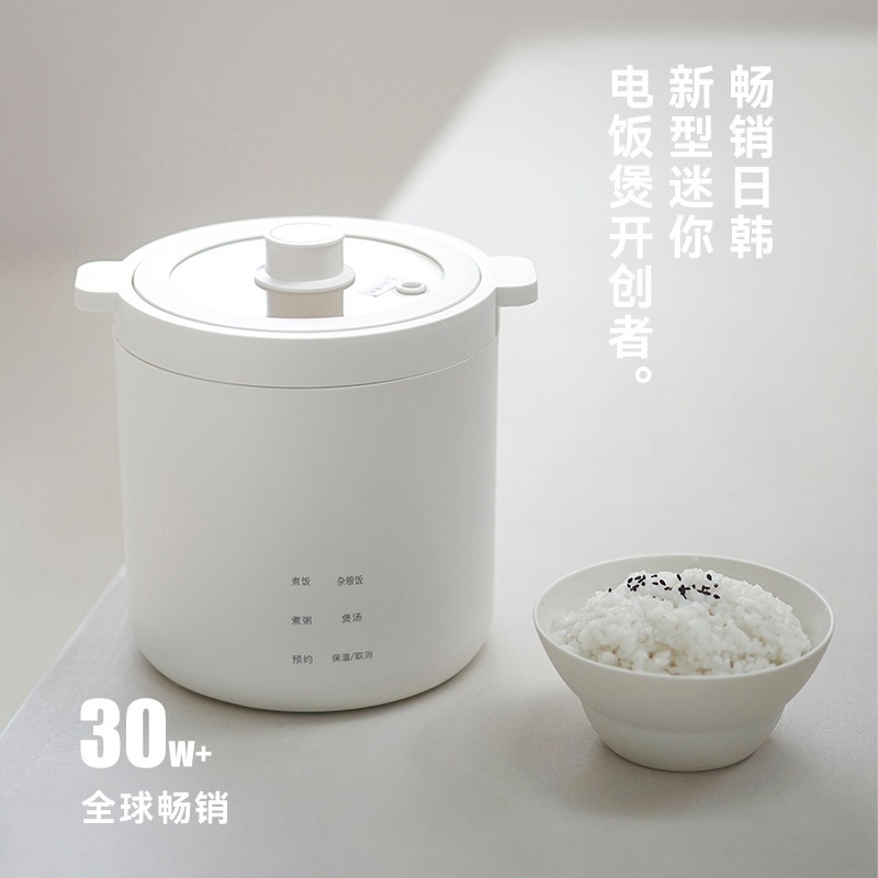 미니 모자 모양 밥솥 소형 전기 밥솥 1-2인용 휴대용 - Rice Cooker 리뷰 및 가격