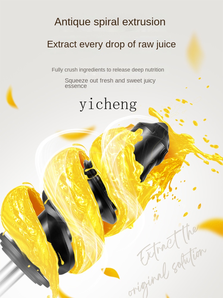 cc28 저속 착즙기 주스와 찌꺼기 분리 가정용 과일  - Juicer 리뷰 및 가격