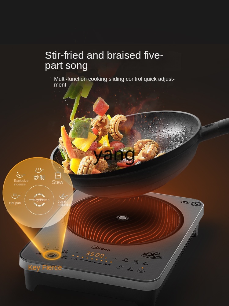 LMM 가정용 인덕션 쿠커 3500W 강력 불력 볶음용 - Induction Cooker 리뷰 및 가격