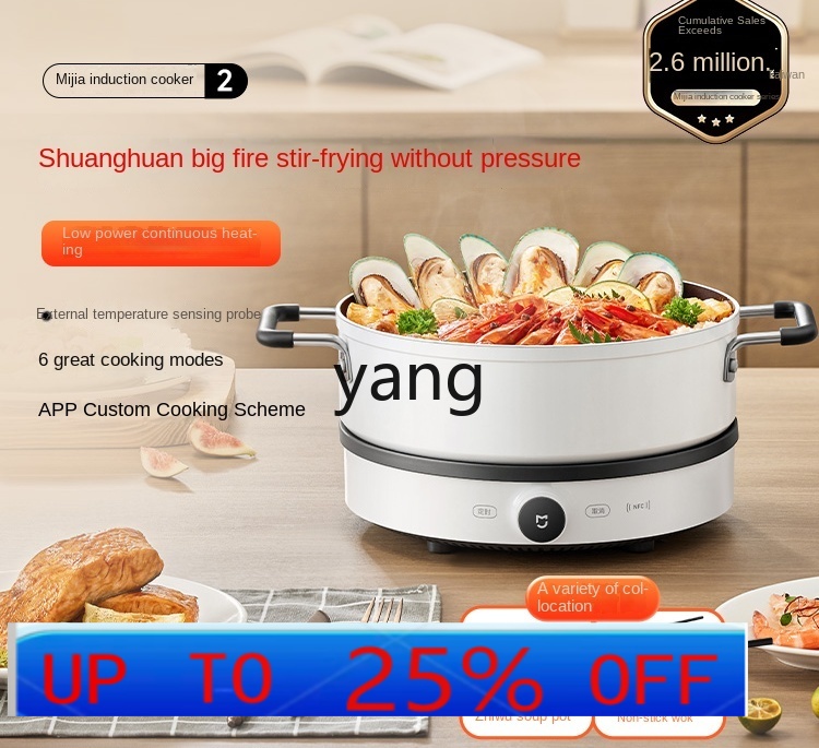 LMM 인덕션 쿠커 가정용 다기능 기숙사 핫팟 지능형  - Induction Cooker 리뷰 및 가격