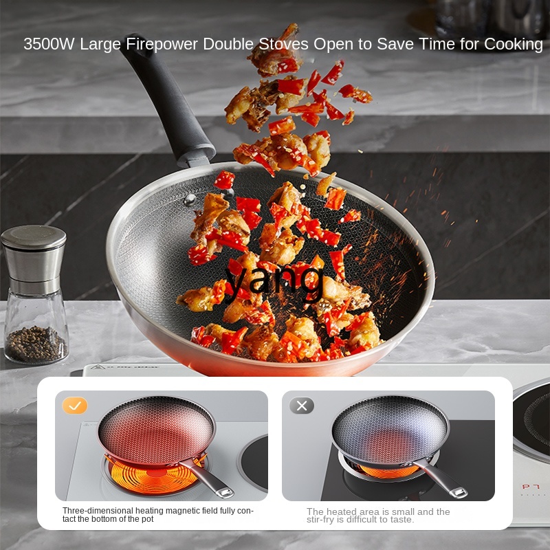 LMM 더블 버너 내장형 가정용 고출력 인덕션 쿠커 데 - Induction Cooker 리뷰 및 가격