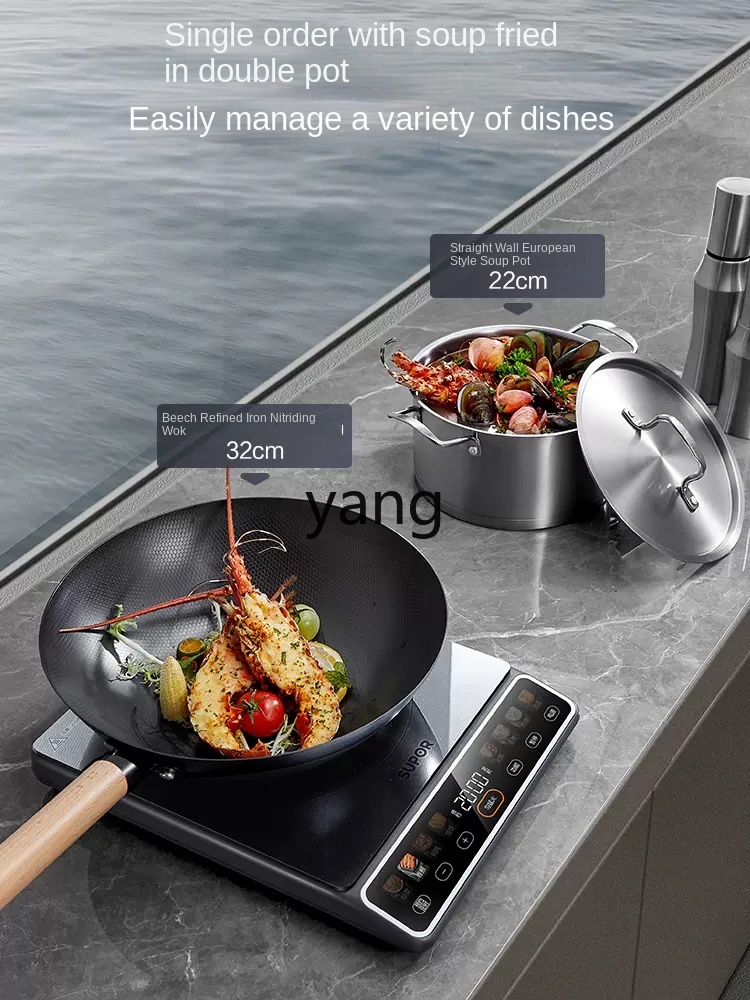 LMM 고출력 2200W 가정용 인덕션 쿠커 볶음밥 지 - Induction Cooker 리뷰 및 가격
